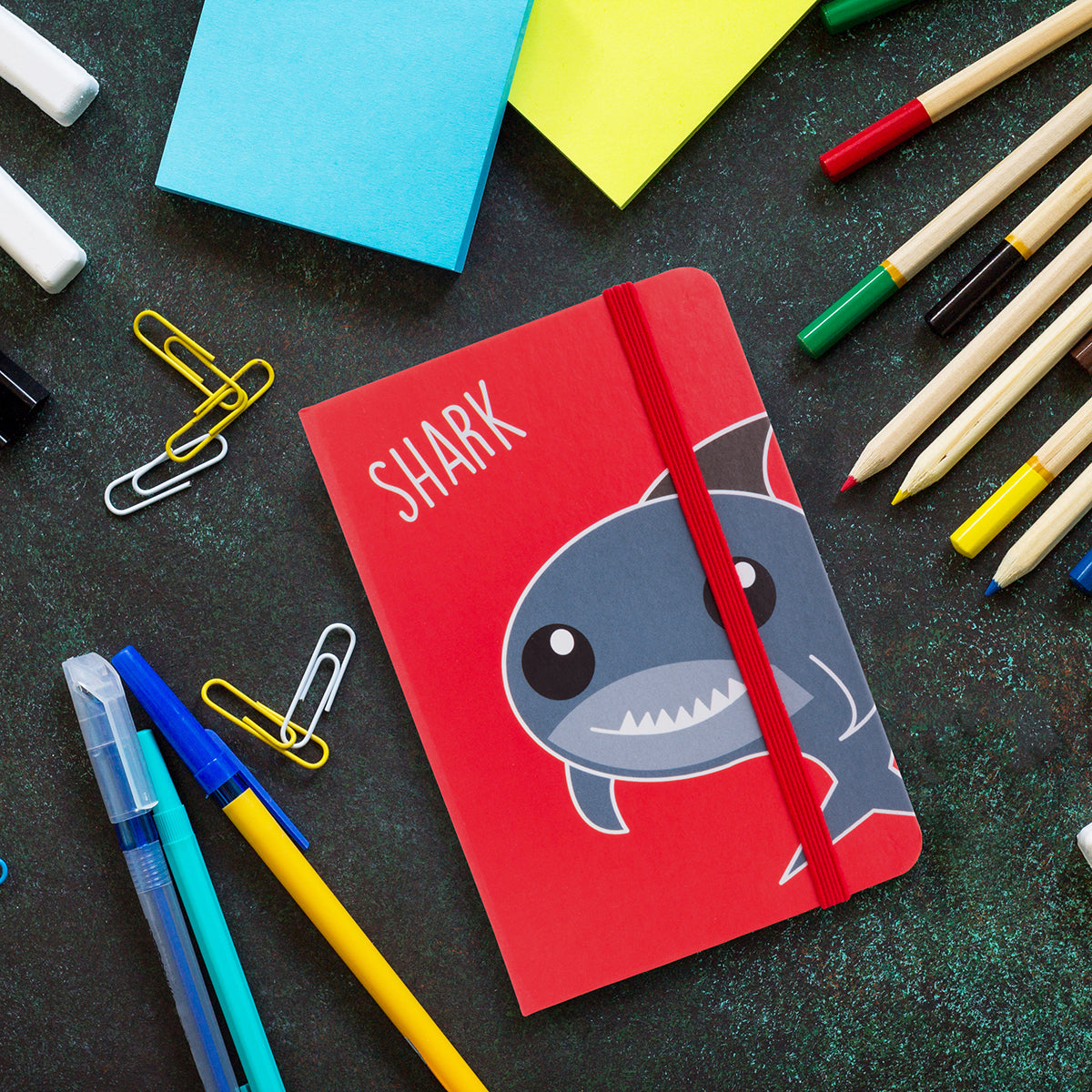 NB099 - Notebook - Shark