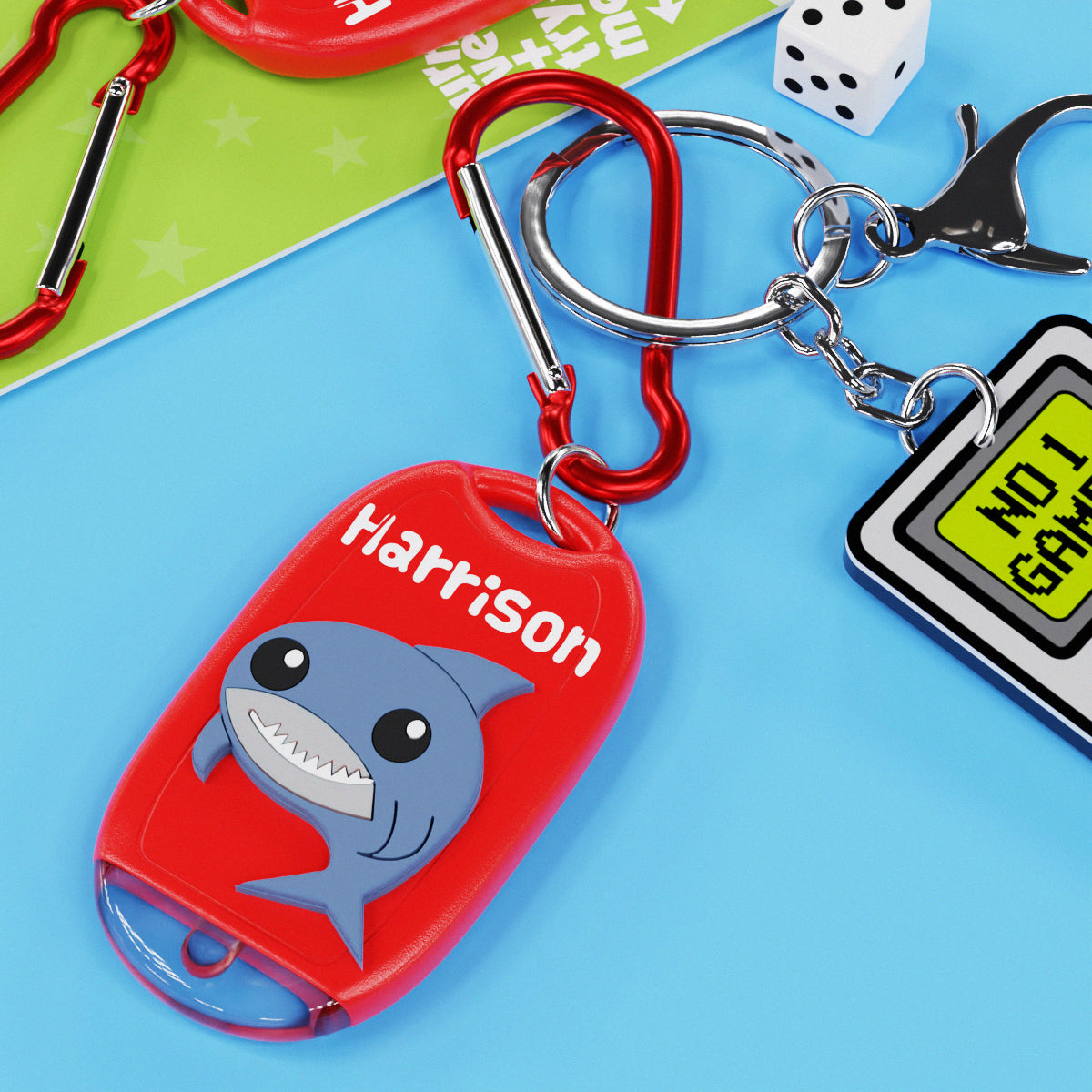 TP074 - Torch Pals - Harrison