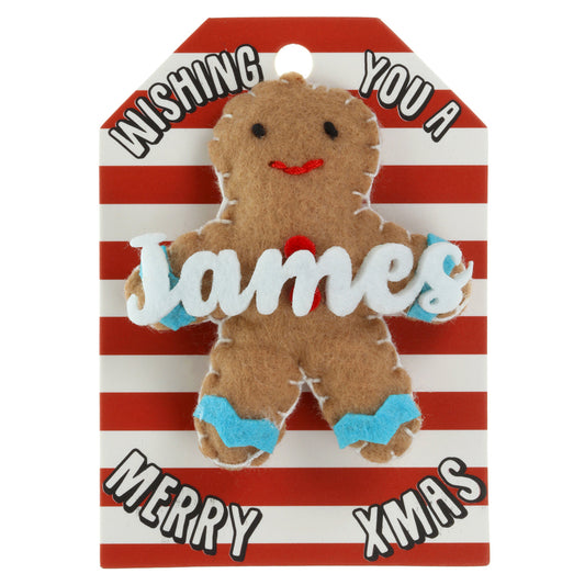 GB109 - Personalised Gingerbread Christmas Tree Decoration - James