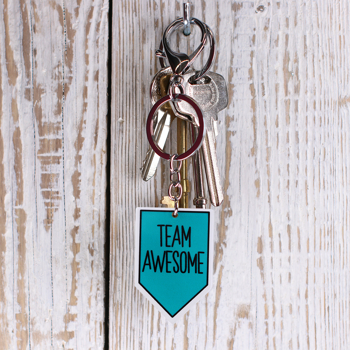 IS120 - Keyring "Team Awesome"