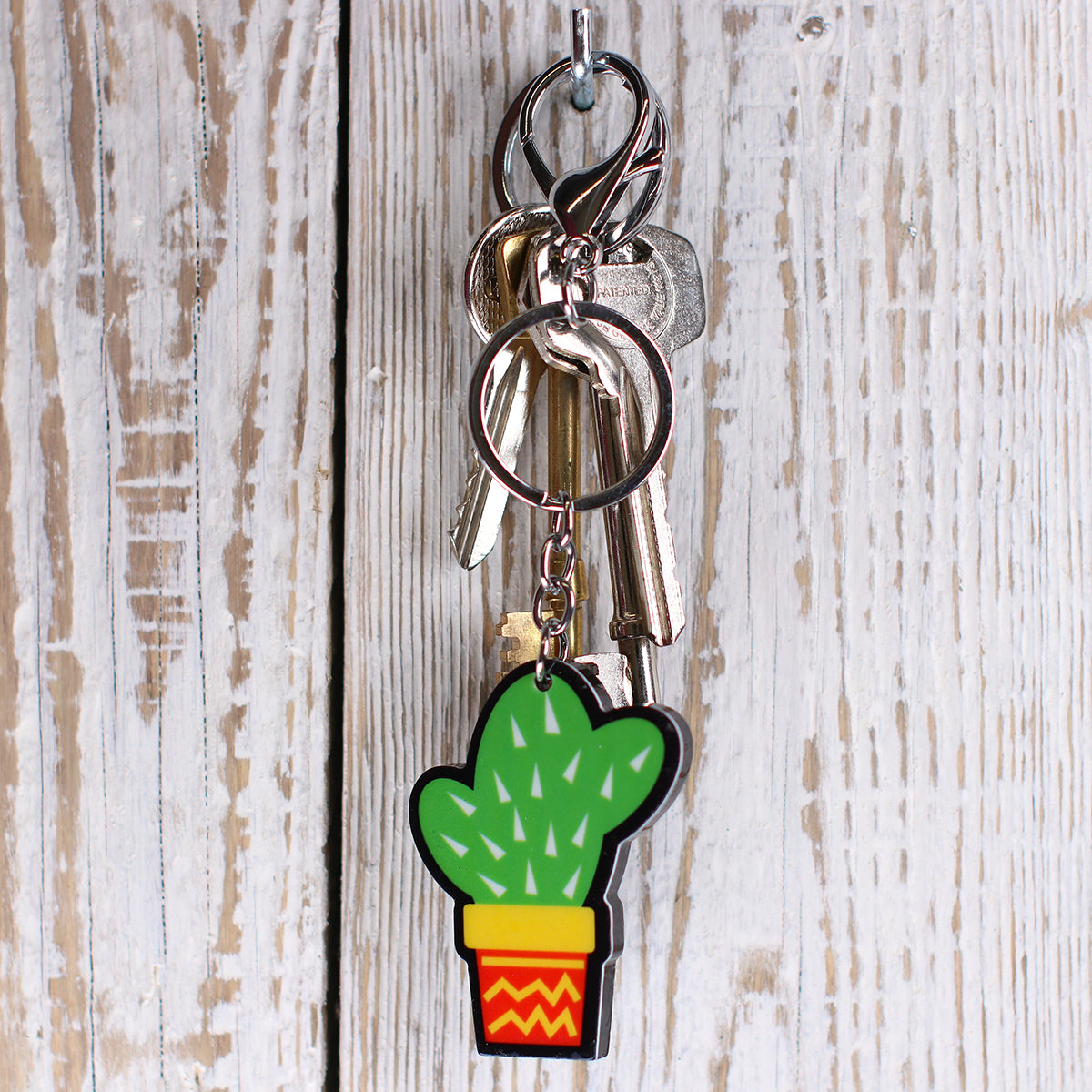 IS120 - Keyring "Cactus"