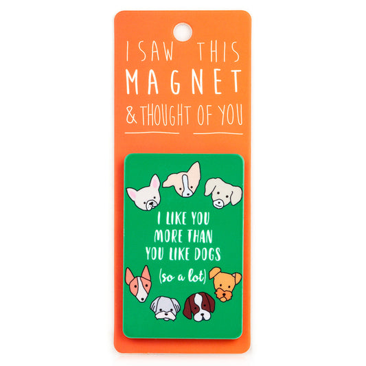 A fridge magnet saying 'More Than You Like Dogs'