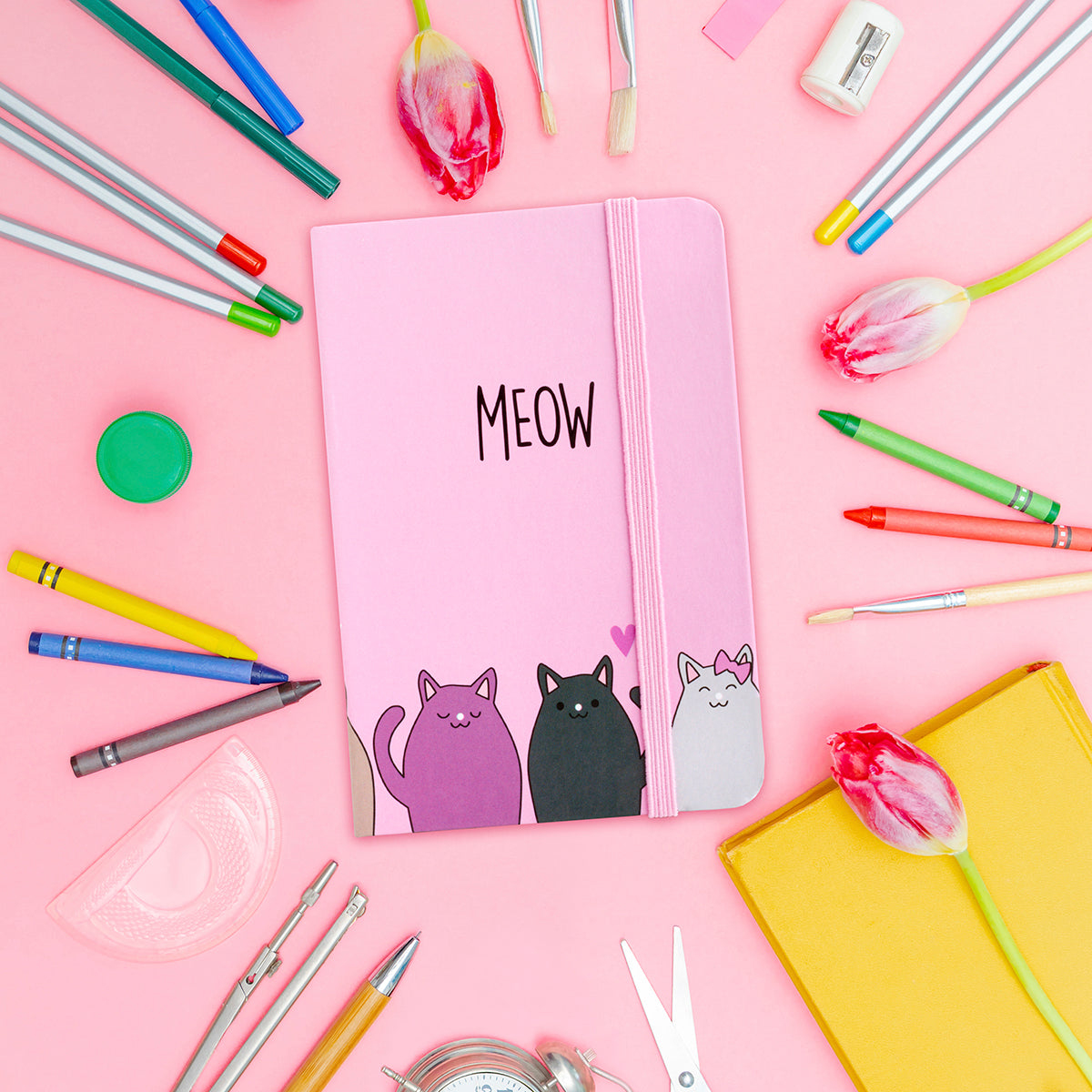 NB066 - Notebook - Meow