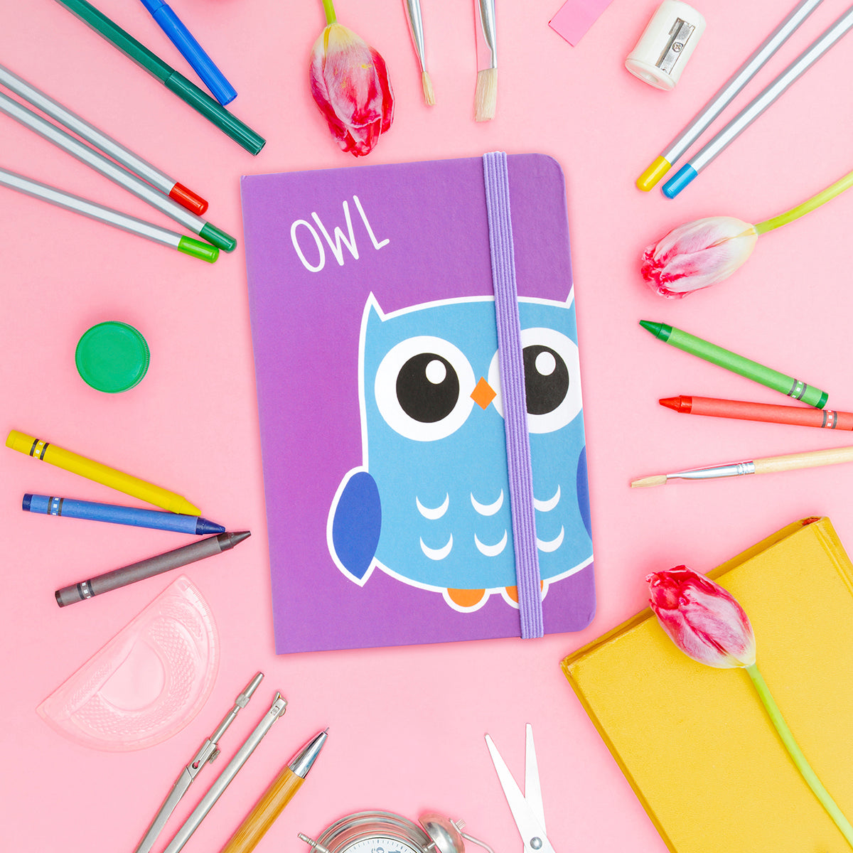NB097 - Notebook - Owl
