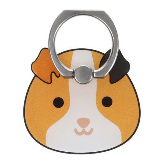 I Saw This Phone Ring - Guinea Pig