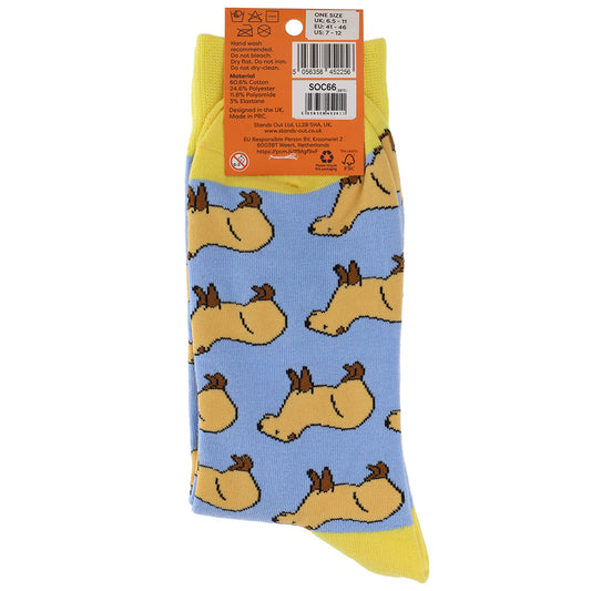 SOC66 - Socks - Capybara