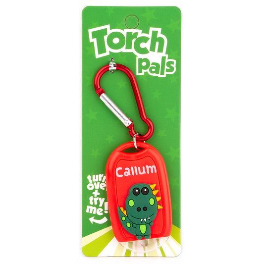Torch Pals - Callum