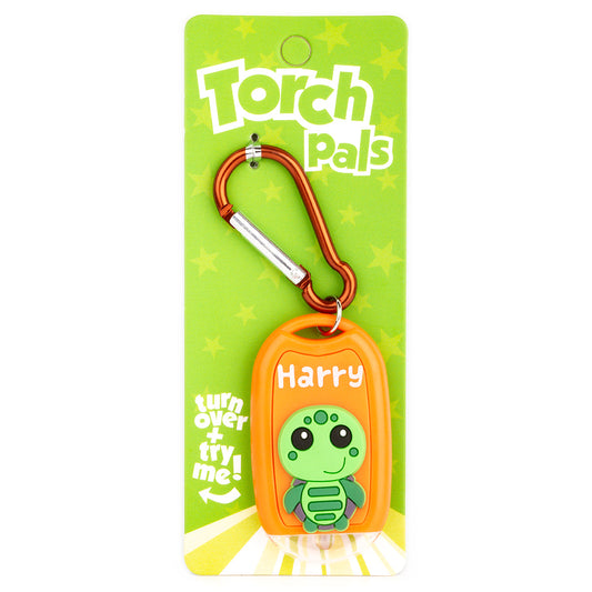 Torch Pals - Harry