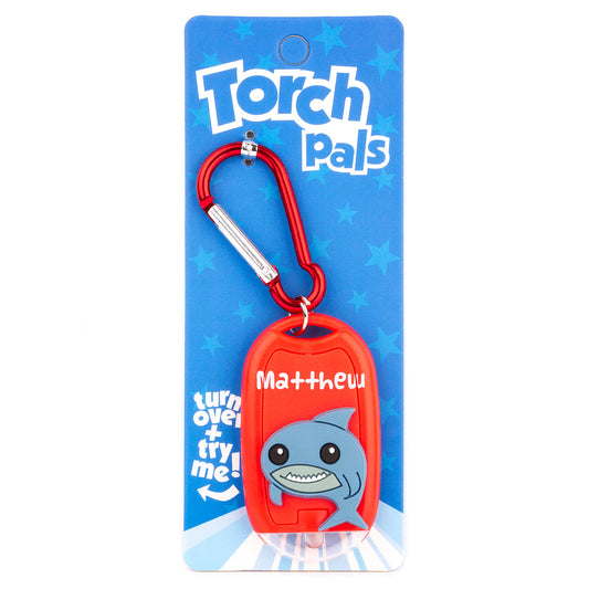 TP128 - Torch Pals - Matthew