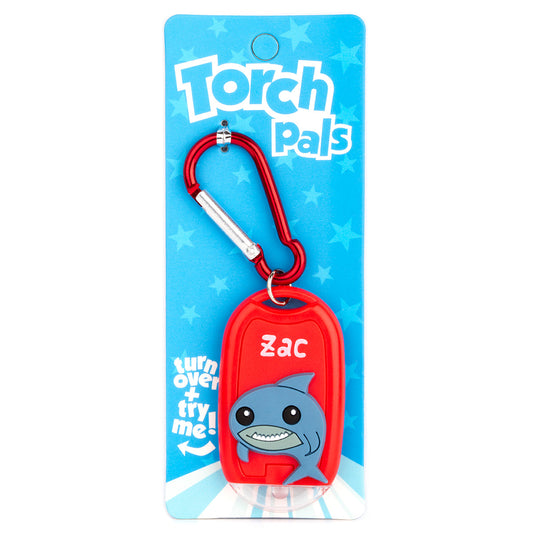 Torch Pals - Zac